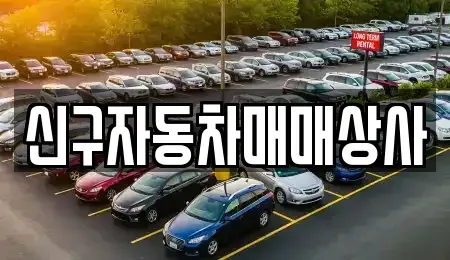 부산광역시 영도구 신선동3가 중고차매매 전문 신구자동차매매상사