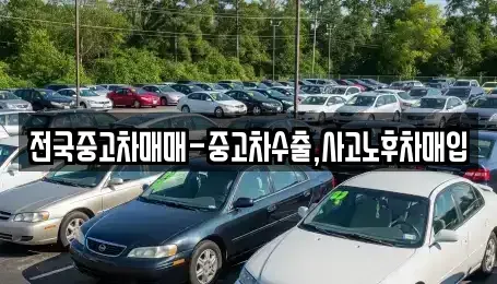 부산광역시 영도구 신선동3가 중고차매매 전문 전국중고차매매-중고차수출,사고노후차매입