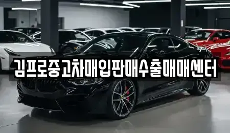 부산광역시 영도구 신선동3가 단기렌트카,중고차매입,중고차매매,중고차,렌트카,장기렌트카