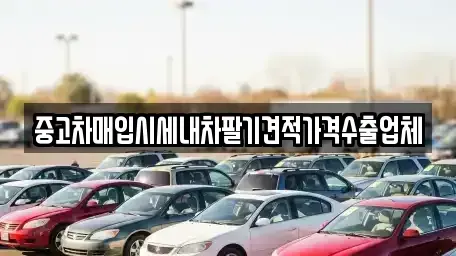 부산광역시 영도구 신선동3가 중고차매입 전문 중고차매입시세내차팔기견적가격수출업체