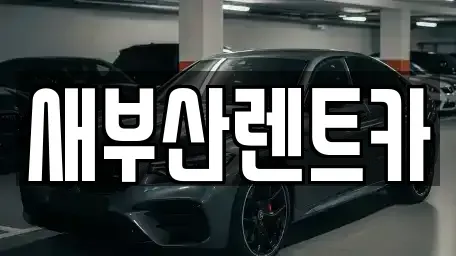 부산광역시 영도구 영선동1가 렌트카 전문 새부산렌트카