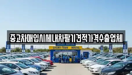 부산광역시 영도구 영선동1가 중고차매입 전문 중고차매입시세내차팔기견적가격수출업체