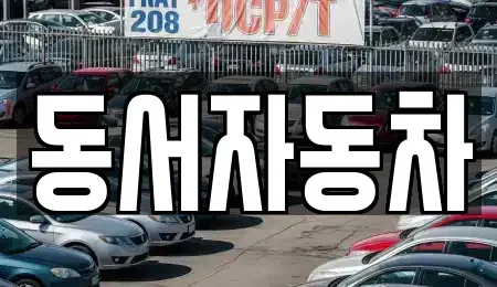 부산광역시 중구 광복동2가 중고차 전문 동서자동차