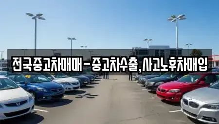 부산광역시 중구 남포동6가 중고차 전문 전국중고차매매-중고차수출,사고노후차매입
