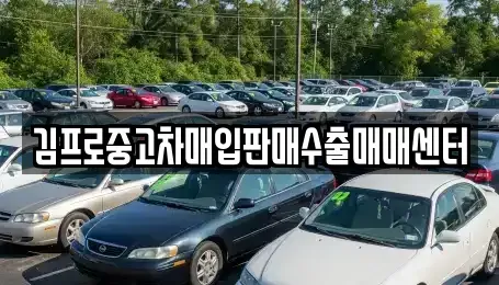 부산광역시 중구 남포동6가 중고차매입 전문 김프로중고차매입판매수출매매센터