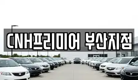 부산광역시 중구 동광동3가 렌트카 전문 CNH프리미어 부산지점