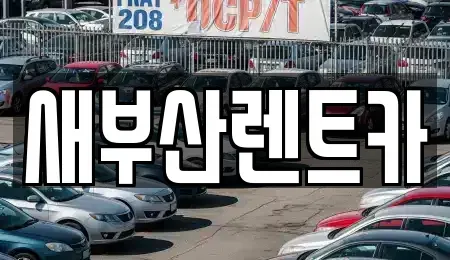 부산광역시 중구 동광동3가 렌트카 전문 새부산렌트카