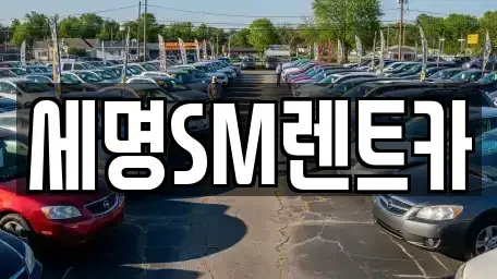 부산광역시 중구 동광동3가 렌트카 전문 세명SM렌트카