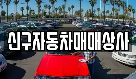 부산광역시 중구 동광동3가 중고차매매 전문 신구자동차매매상사