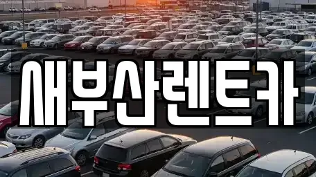 부산광역시 중구 보수동1가 렌트카 전문 새부산렌트카