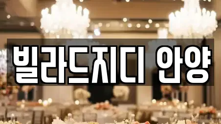 빌라드지디 안양