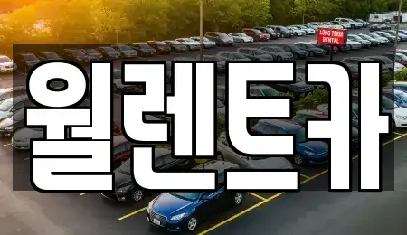 서울 강북구 수유동 렌트카 전문 월렌트카