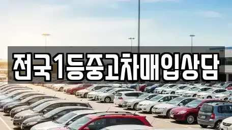 서울 강북구 수유동 중고차 전문 전국1등중고차매입상담