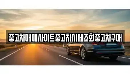 서울 강서구 마곡동 중고차 전문 중고차매매사이트중고차시세조회중고차구매