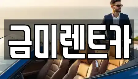 서울 구로구 오류동 렌트카 전문 금미렌트카