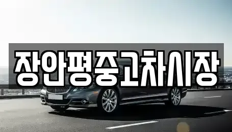 서울 구로구 오류동 중고차 전문 장안평중고차시장
