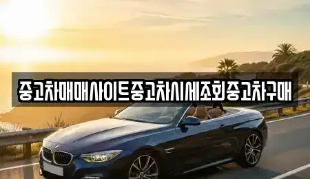 서울 구로구 오류동 중고차 전문 중고차매매사이트중고차시세조회중고차구매