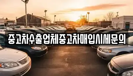 서울 구로구 오류동 중고차 전문 중고차수출업체중고차매입시세문의