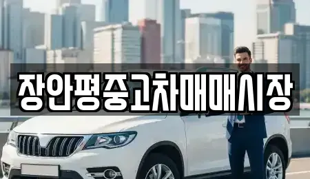 서울 동대문구 신설동 중고차매매 전문 장안평중고차매매시장