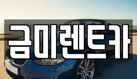 서울 마포구 아현동 렌트카 전문 금미렌트카