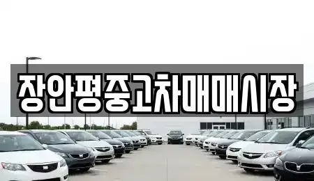 서울 마포구 아현동 중고차 전문 장안평중고차매매시장