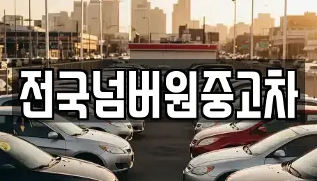 서울 마포구 아현동 중고차매매 전문 전국넘버원중고차
