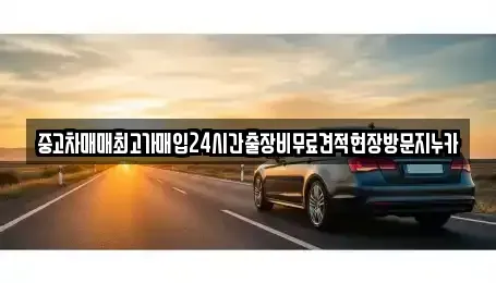 서울 마포구 아현동 중고차매매 전문 중고차매매최고가매입24시간출장비무료견적현장방문지누카