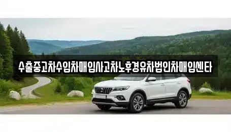 서울 마포구 아현동 중고차매입 전문 수출중고차수입차매입사고차노후경유차법인차매입센타