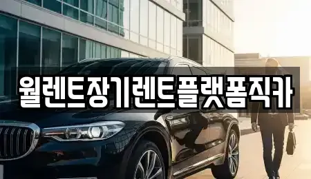 서울 서대문구 천연동 장기렌트카 전문 월렌트장기렌트플랫폼직카
