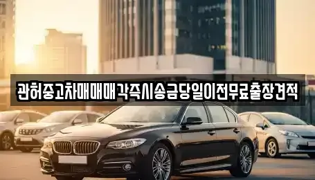 서울 서대문구 천연동 중고차매매,단기렌트카,중고차매입,장기렌트카,중고차,렌트카