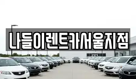 서울 성북구 동소문동4가 렌트카 전문 나들이렌트카서울지점
