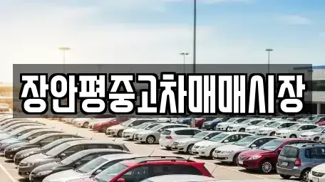 서울 성북구 동소문동4가 중고차매매 전문 장안평중고차매매시장