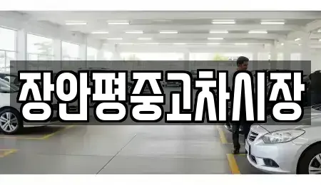 서울 성북구 동소문동4가 중고차매매 전문 장안평중고차시장