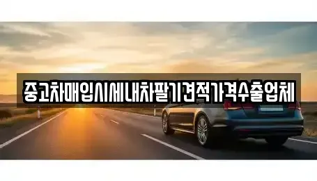 서울 성북구 동소문동4가 중고차매입 전문 중고차매입시세내차팔기견적가격수출업체