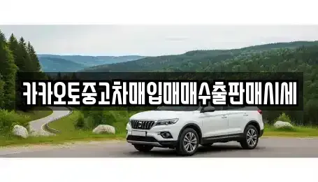 서울 성북구 동소문동4가 중고차매입 전문 카카오토중고차매입매매수출판매시세