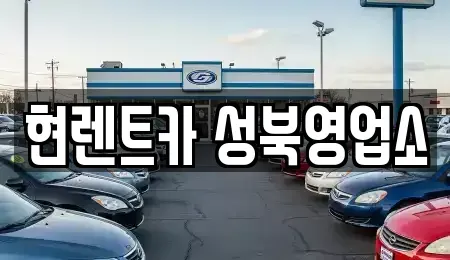 서울 성북구 삼선동5가 렌트카 전문 현렌트카 성북영업소