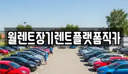 서울 성북구 삼선동5가 장기렌트카 전문 월렌트장기렌트플랫폼직카