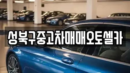 서울 성북구 삼선동5가 중고차 전문 성북구중고차매매오토셀카