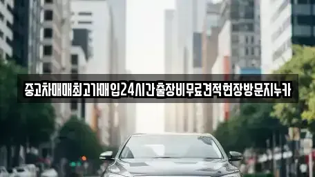 서울 성북구 삼선동5가 중고차매입 전문 중고차매매최고가매입24시간출장비무료견적현장방문지누카