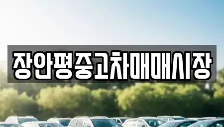 서울 성북구 성북동 중고차 전문 장안평중고차매매시장
