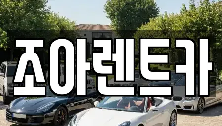 서울 송파구 문정동 렌트카 전문 조아렌트카