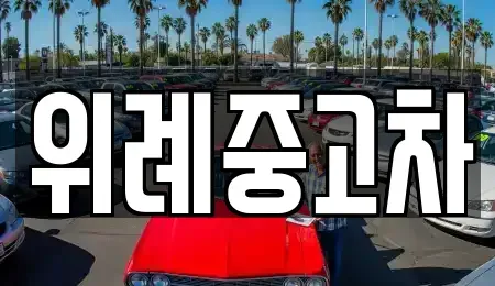 서울 송파구 문정동 중고차,렌트카,중고차매입,중고차매매,장기렌트카,단기렌트카