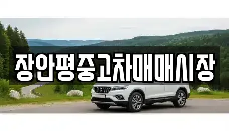 서울 송파구 문정동 중고차 전문 장안평중고차매매시장