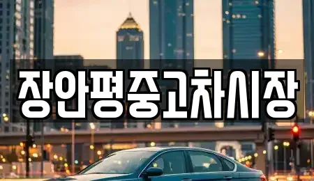 서울 송파구 문정동 중고차 전문 장안평중고차시장