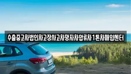 서울 송파구 문정동 중고차매입 전문 수출중고차법인차고장사고차망자차압류차1톤차매입센터