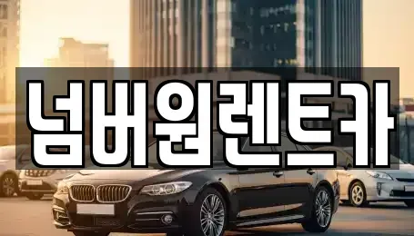 서울 송파구 장지동 단기렌트카 전문 넘버원렌트카