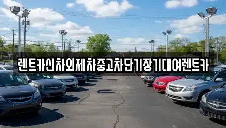 서울 송파구 장지동 단기렌트카 전문 렌트카신차외제차중고차단기장기대여렌트카