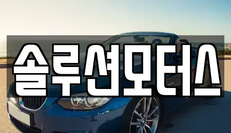 서울 송파구 장지동 단기렌트카 전문 솔루션모터스