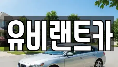 서울 송파구 장지동 단기렌트카 전문 유비랜트카