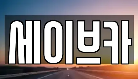 서울 송파구 장지동 장기렌트카 전문 세이브카